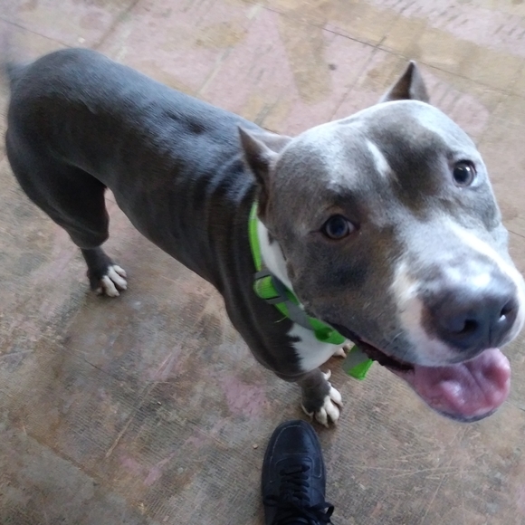 Meet POSHER WILL, BRINKS HOME SECURITY'S VP OF OPS - Picture 14 of 16